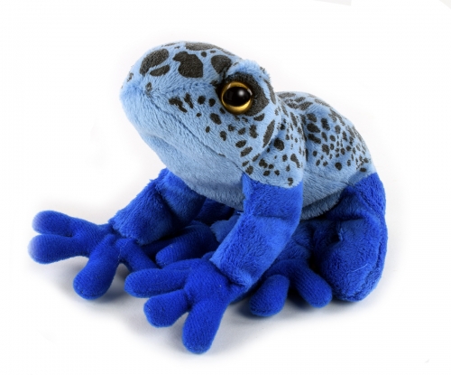 Blauer Pfeilgiftfrosch 18 cm